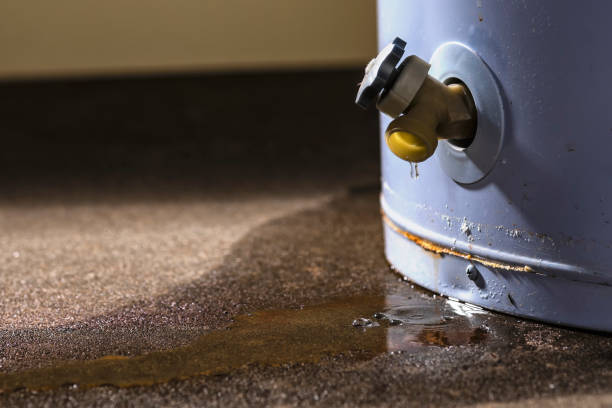 Best Commercial water damage restoration  in Buckhead, GA