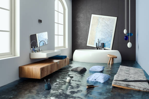 Best Water damage mitigation services  in Buckhead, GA