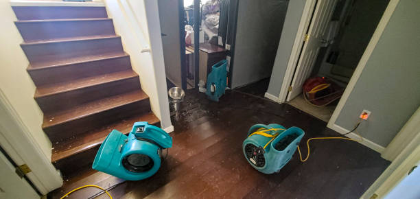 Best Commercial water damage restoration  in Buckhead, GA
