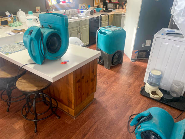 Best 24-hour water damage restoration  in Buckhead, GA