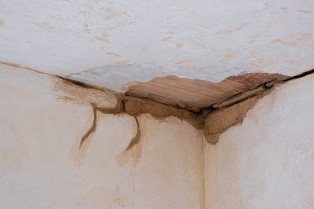 Best Basement water damage restoration  in Buckhead, GA
