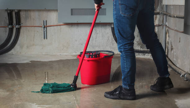 Best Sewage cleanup and water damage restoration  in Buckhead, GA