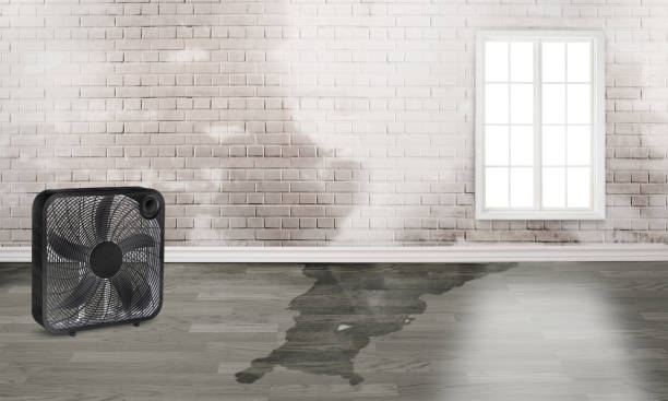 Water damage restoration insurance claims in GA