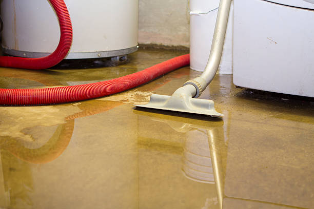 Best Water damage restoration process  in Buckhead, GA