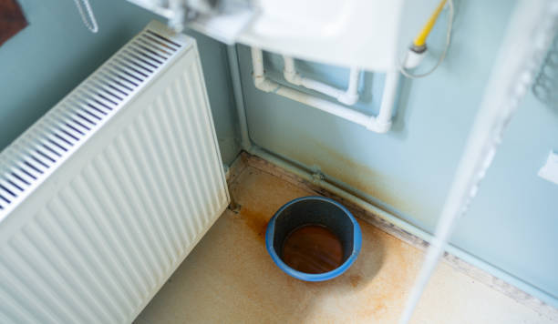 Best Water damage restoration process  in Buckhead, GA