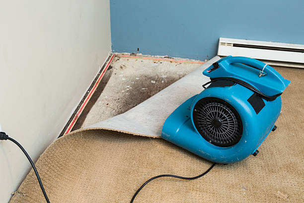 Best Water damage cleanup near me  in Buckhead, GA